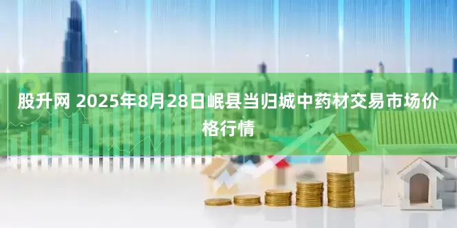 股升网 2025年8月28日岷县当归城中药材交易市场价格行情