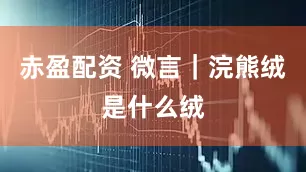 赤盈配资 微言|浣熊绒是什么绒